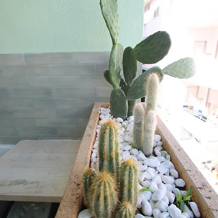 Acquamarina * Gallipoli